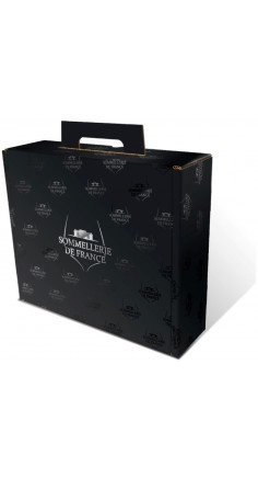 Coffret Valisette avec poignée 3 bouteilles de vin