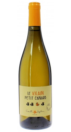 Château Aydie le vilain petit canard