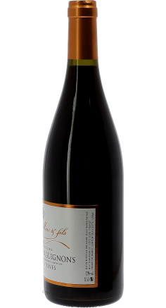 Domaine Gauffroy Coteaux Bourguignons Rouge