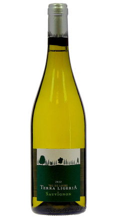 Terra Ligeria Sauvignon
