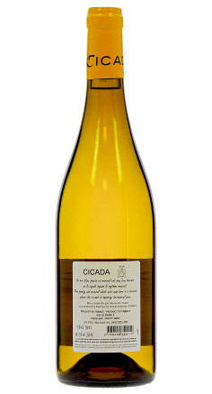 Cicada Blanc