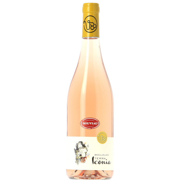 Terra Iconia - Accueil - sommellerie de France