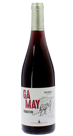 Gamay Modestine