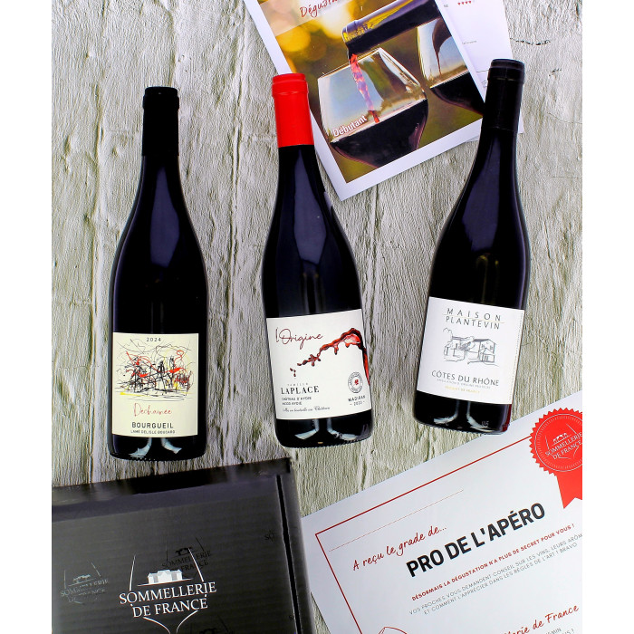 Coffret de Vins Initiation débutant - Coffrets vins - sommellerie de France