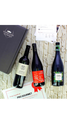 Coffret de Vins niveau intermédiaire
