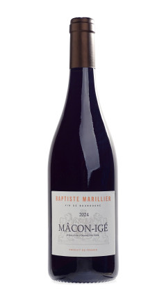 Macon IGE Saint Germain