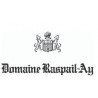 Domaine Raspail-Ay